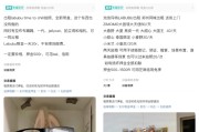 择日黄历闲鱼：LABUBU搜索量环比上涨1000%，供不应求下现租赁新形式