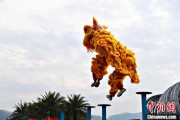 择日黄历（文化中国行）壮乡狮舞闯南洋：脚踏“云桩” 饮誉海内外